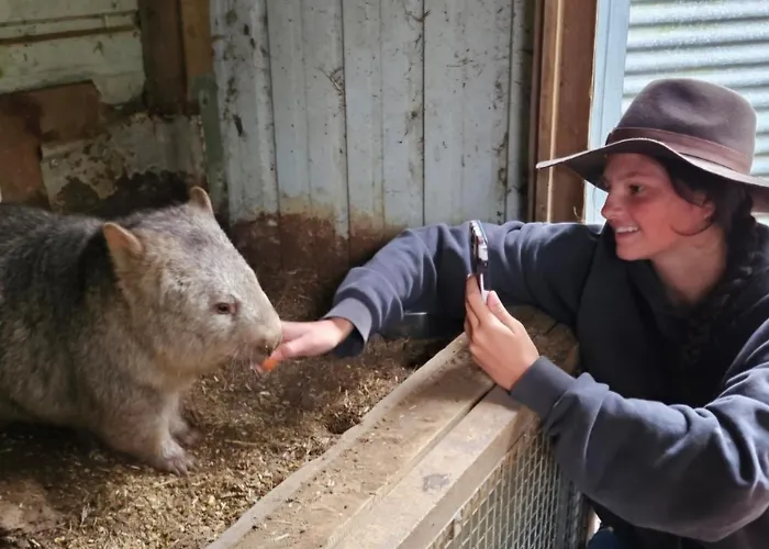 Fauna Australia Wildlife Experience