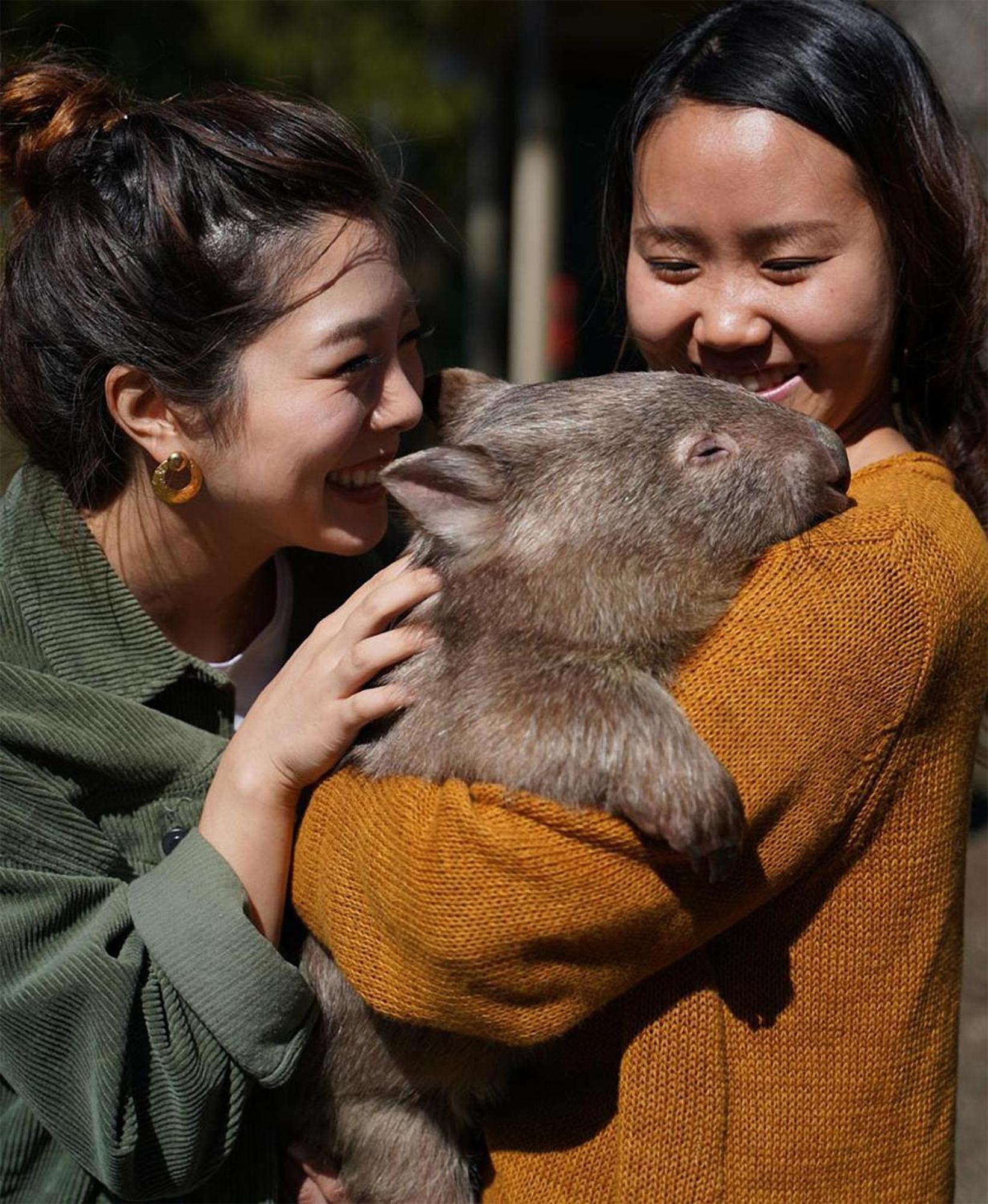 Fauna Australia Wildlife Experience Farm stay *