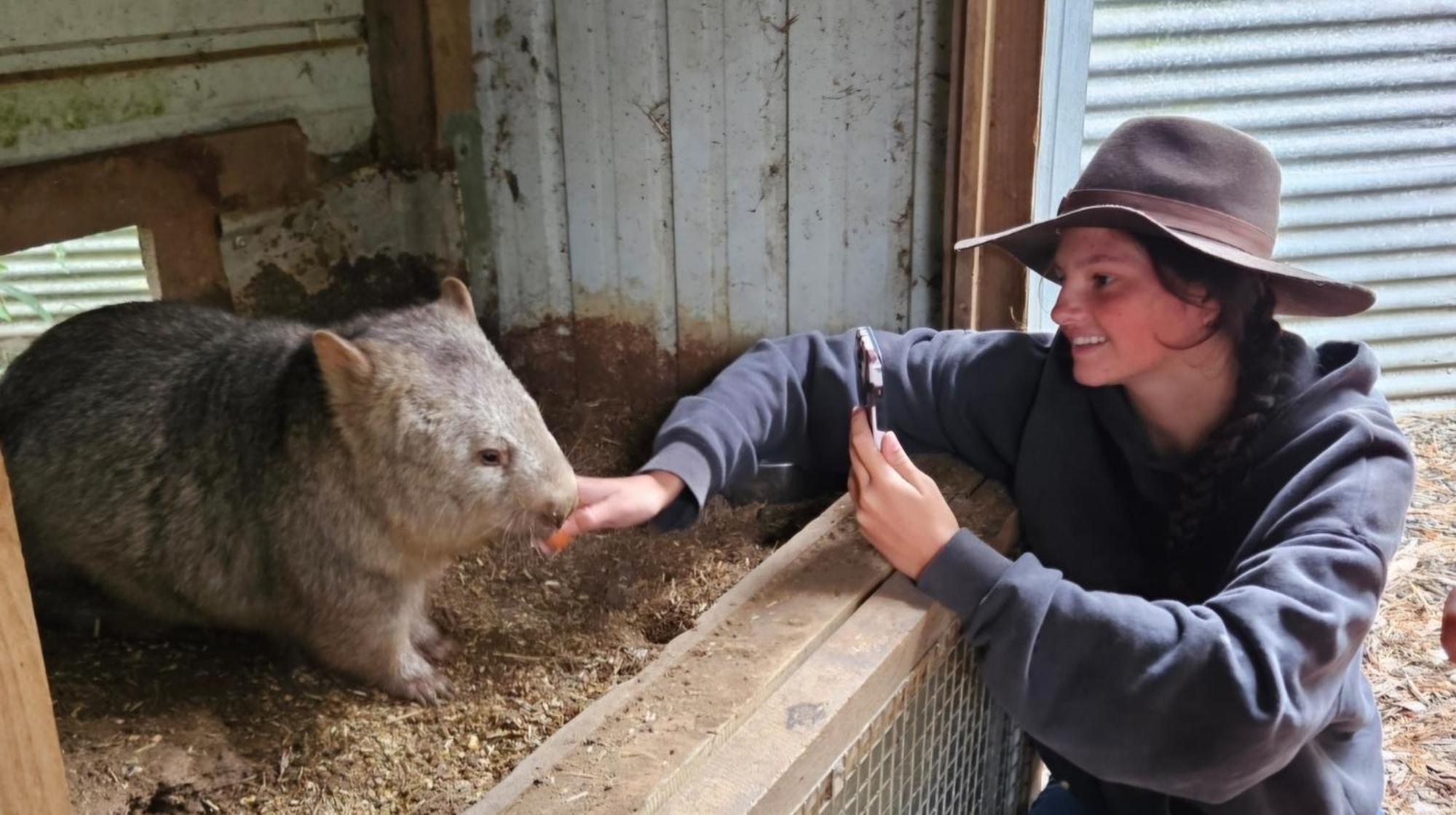 Fauna Australia Wildlife Experience *